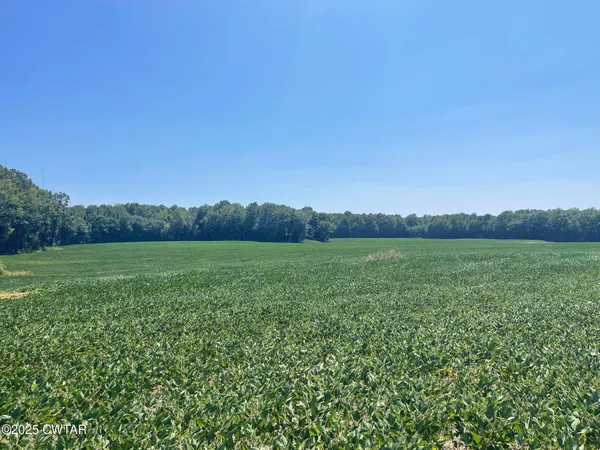 a view of a green field with clear sky