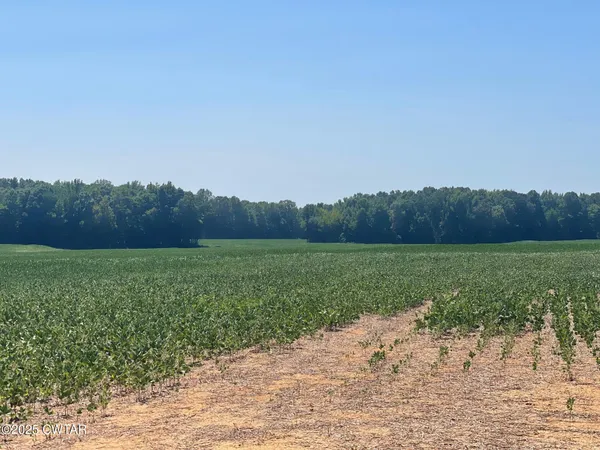 a view of a field with an outdoor space