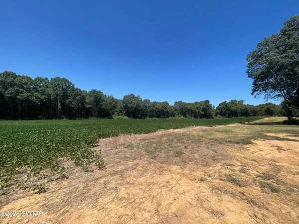 a view of lake with green space