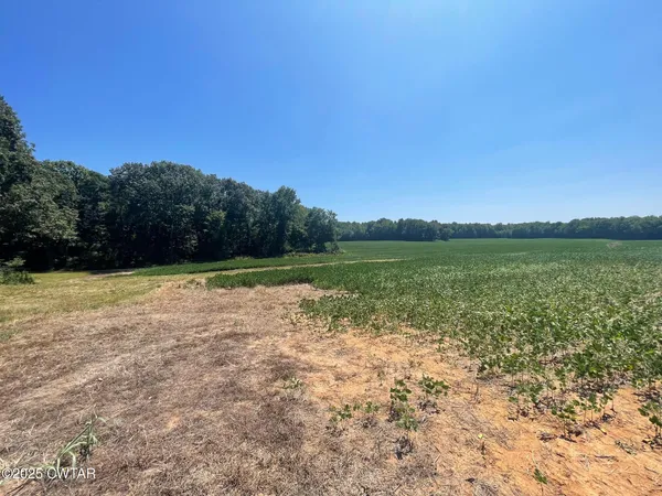 a view of a lake with a yard