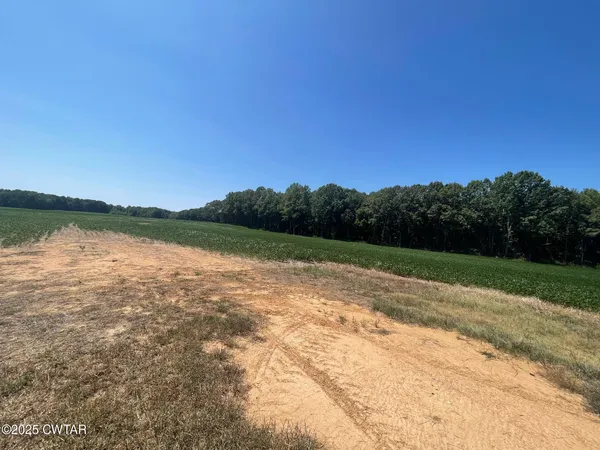 a view of lake and trees