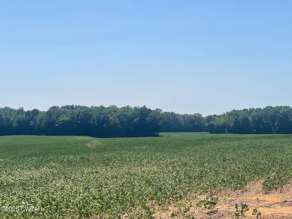 a view of an outdoor space and a yard