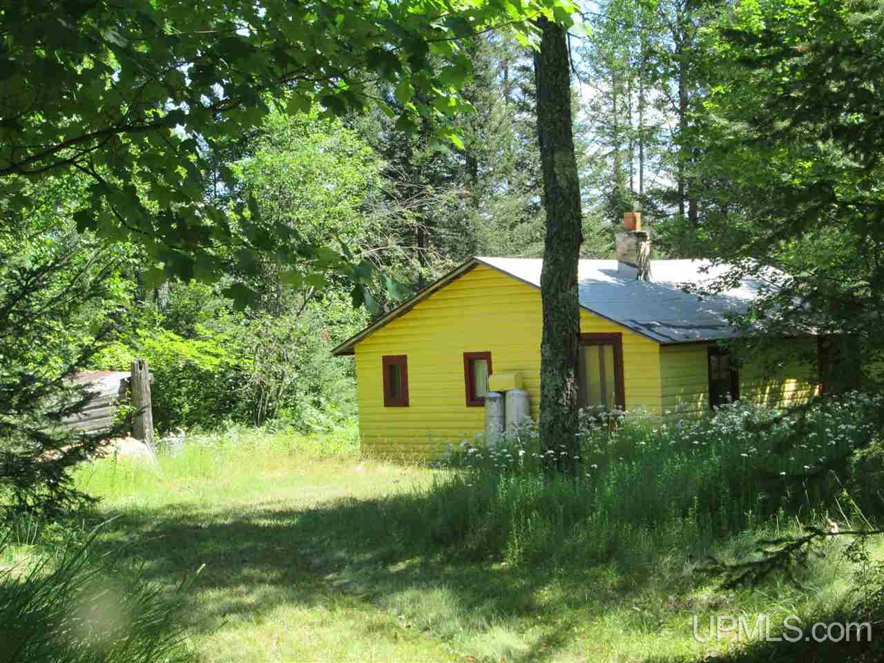 Tbd Ff 3940 Road Iron River, MI 49935 - Photo 2 of 10