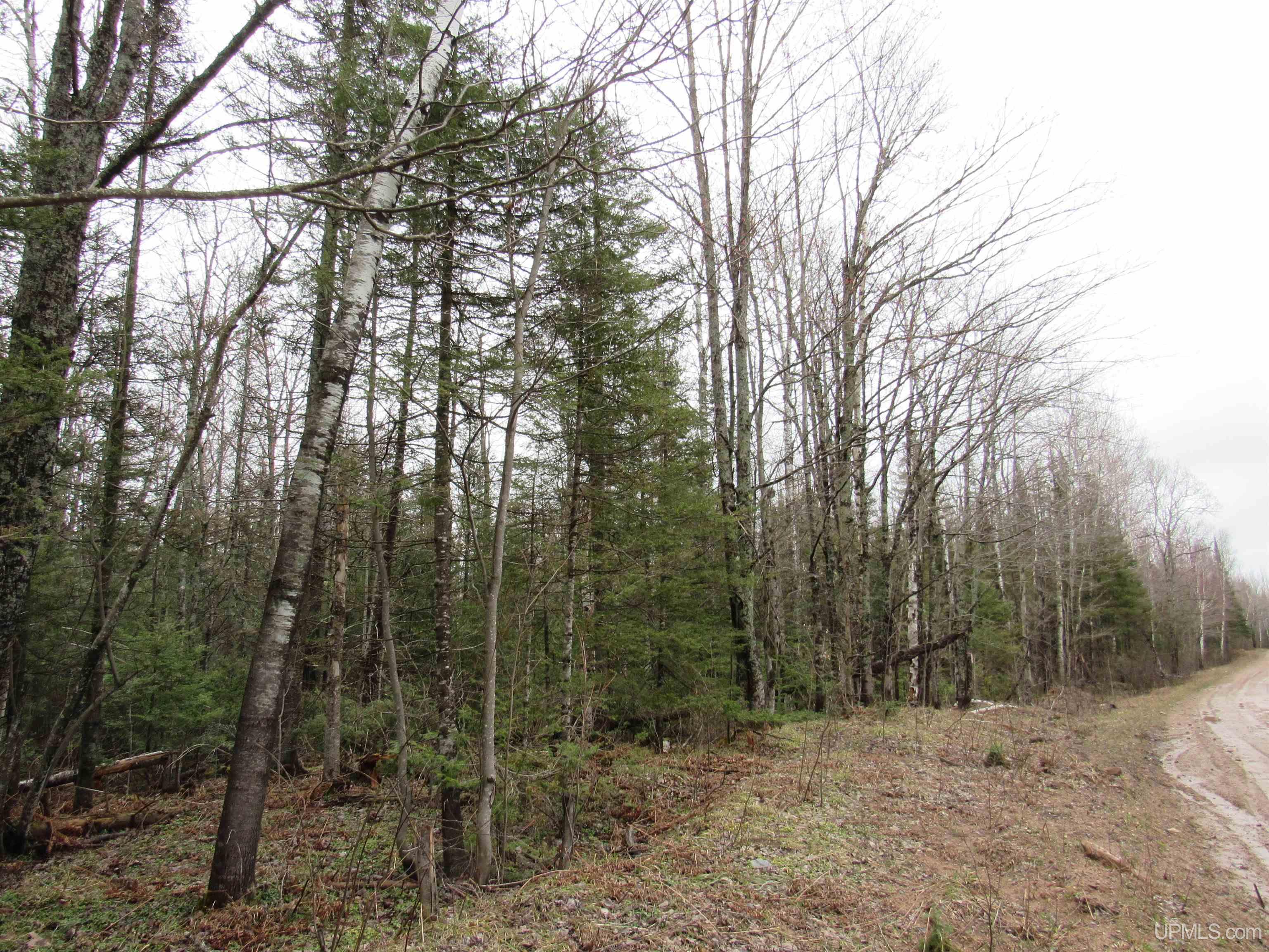 Tbd Deerton-sand Lake Road Deerton, MI 49822 - Photo 5 of 23