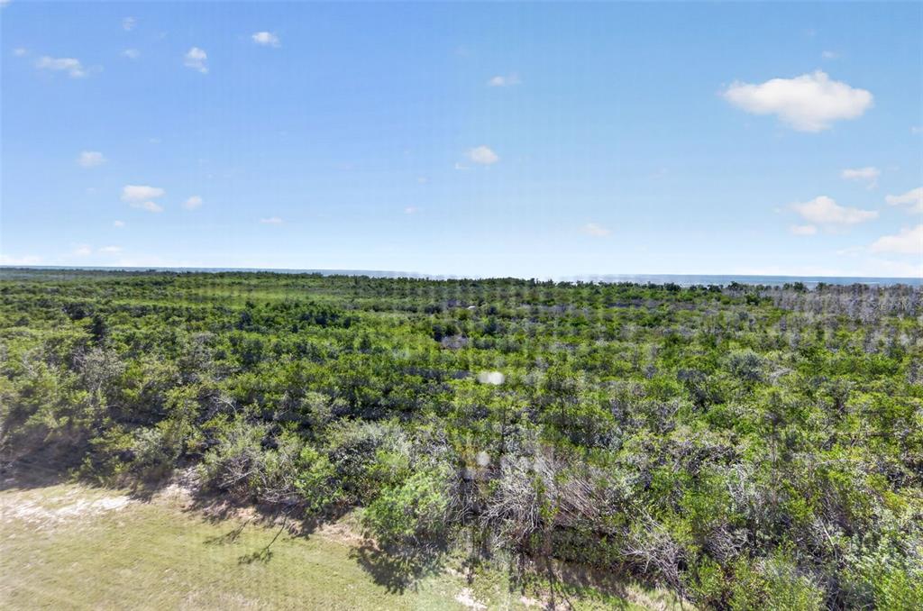 3191 Matecumbe Key Road, Unit 304 Punta Gorda, FL 33955 - Photo 21 of 31 a view of a big yard with lots of palm trees