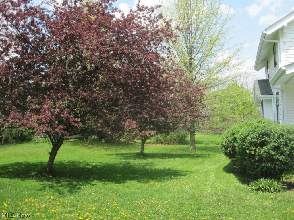 683 East Smith Road Medina, OH 44256 - Photo 20 of 25 A second parcel to the west adds an additional 0.188 acre with space to grow more beautiful Boxelder Trees.