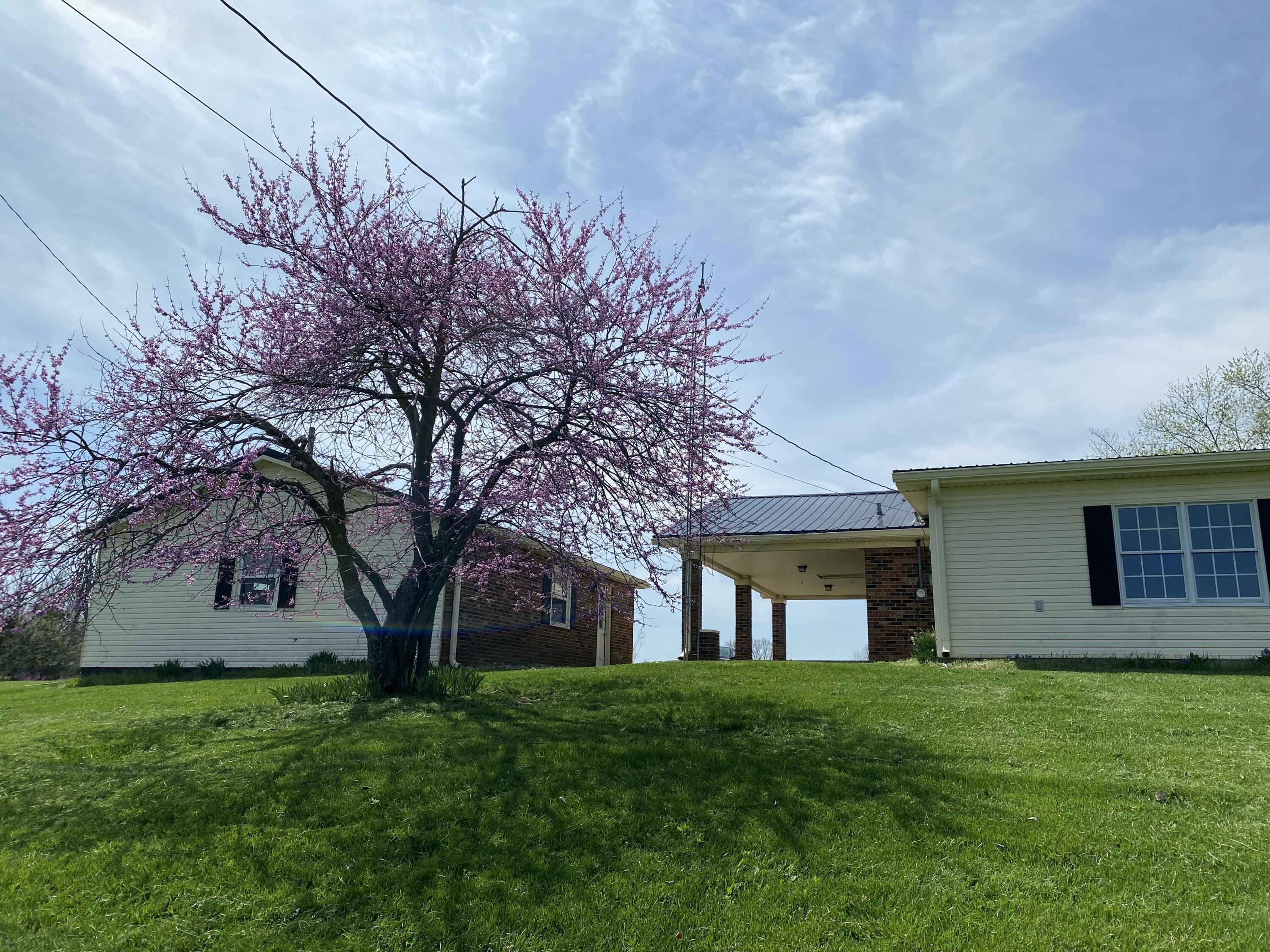 317 Short Road Salvisa, KY 40372 - Photo 18 of 47 IMG_0225