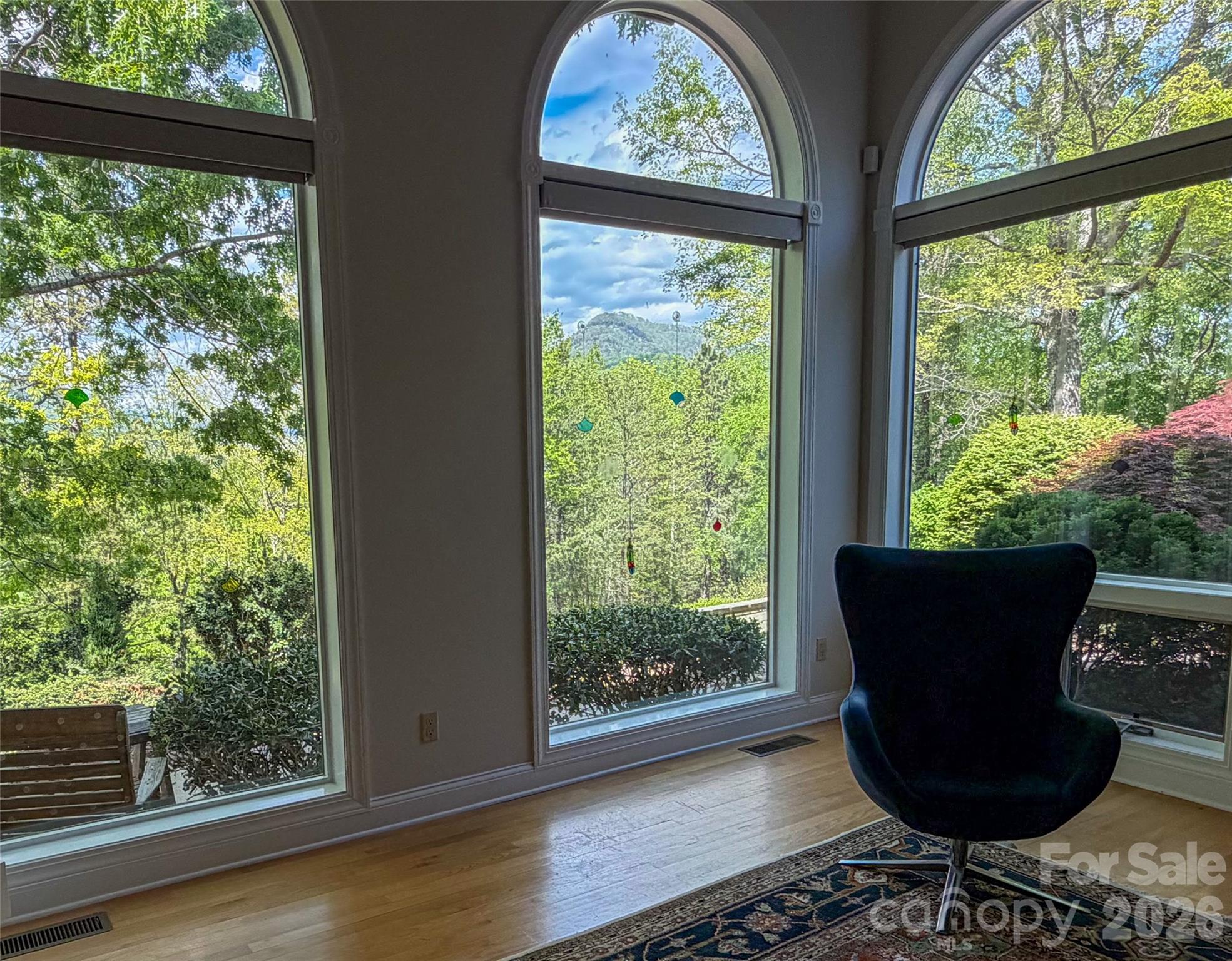 556 Quail Ridge Boulevard Lake Lure, NC 28746 - Photo 11 of 20