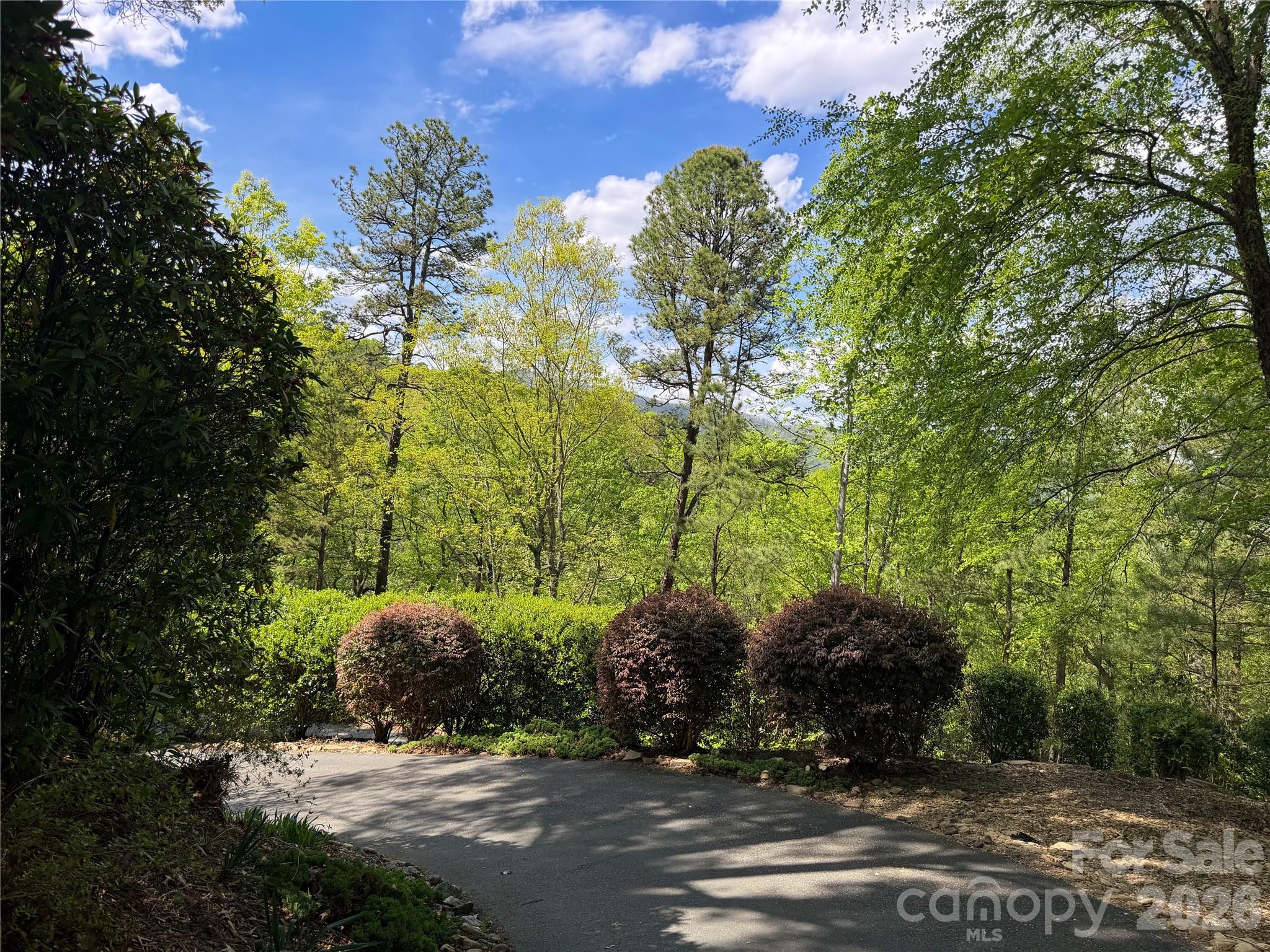 556 Quail Ridge Boulevard Lake Lure, NC 28746 - Photo 17 of 20