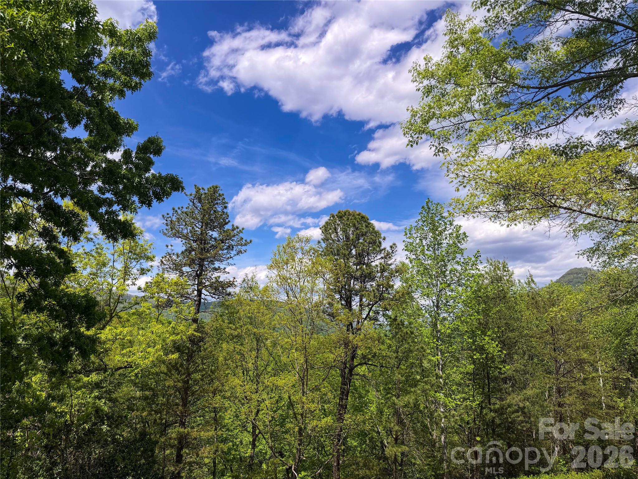 556 Quail Ridge Boulevard Lake Lure, NC 28746 - Photo 20 of 20