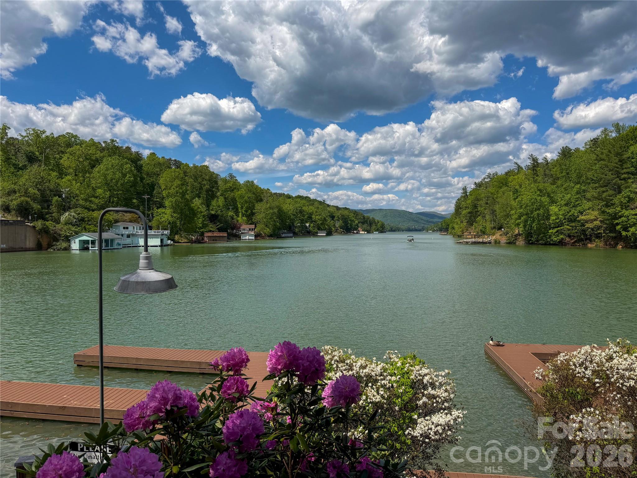 556 Quail Ridge Boulevard Lake Lure, NC 28746 - Photo 4 of 48