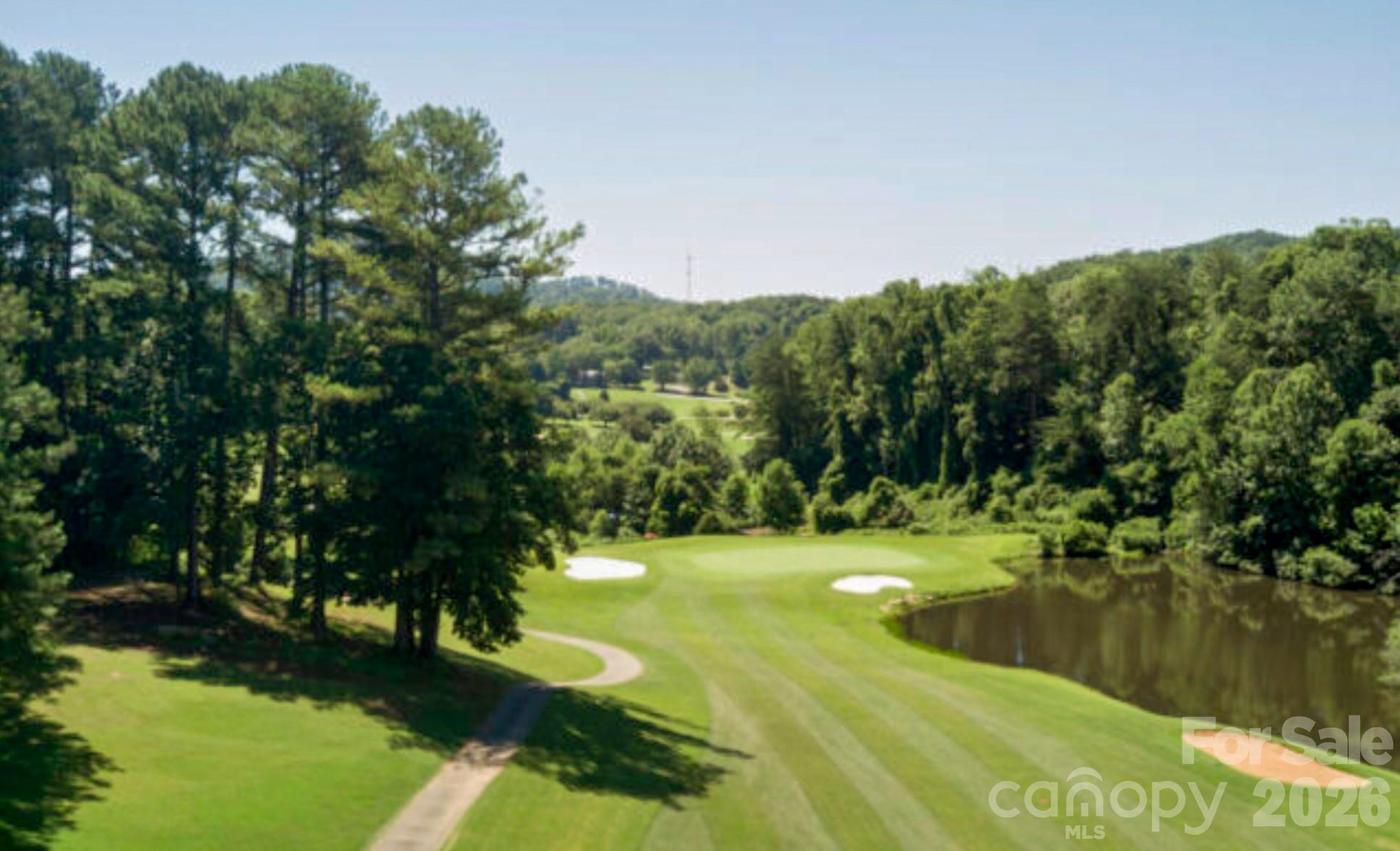 556 Quail Ridge Boulevard Lake Lure, NC 28746 - Photo 47 of 48 a view of a lake with a yard
