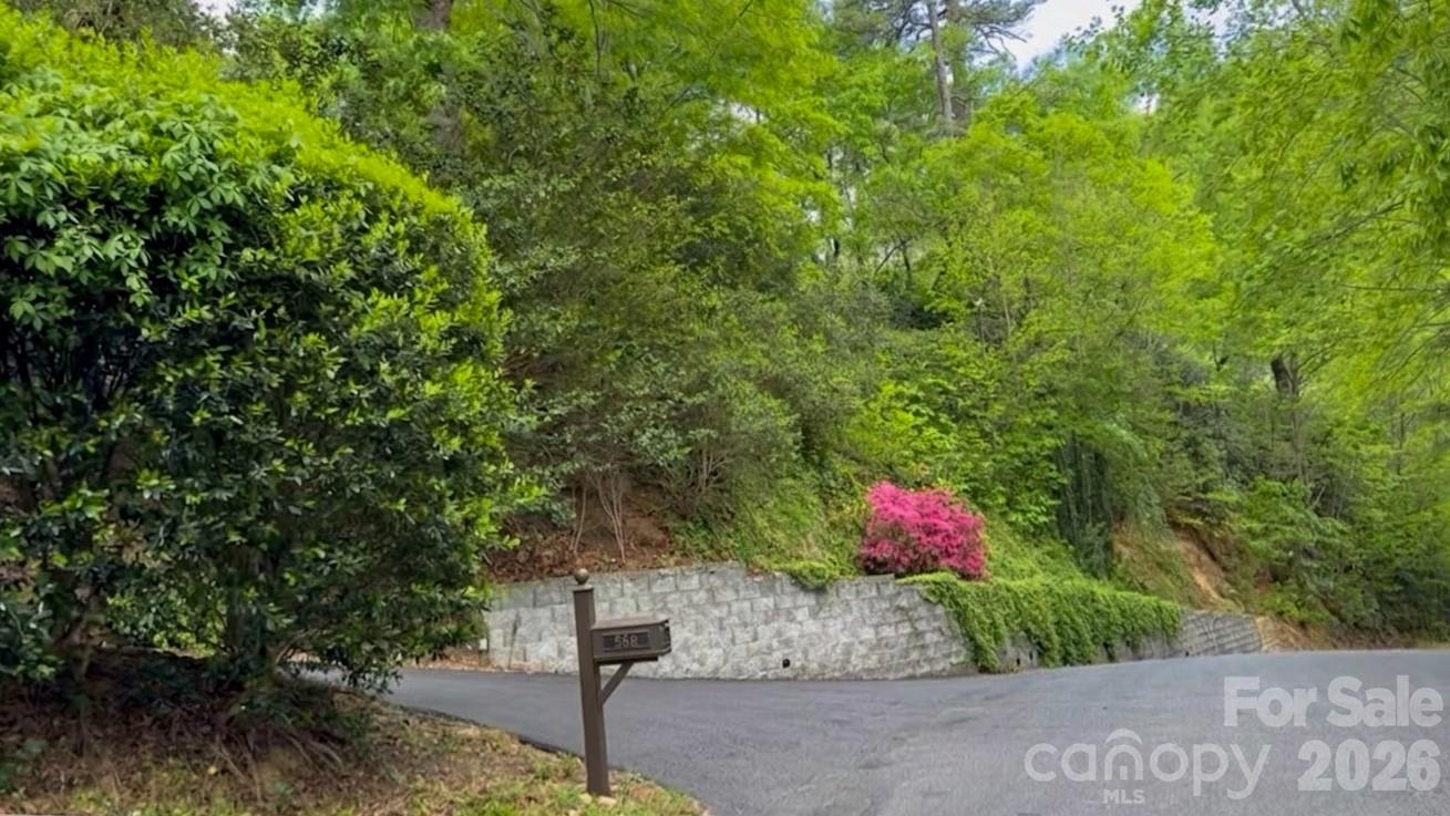 556 Quail Ridge Boulevard Lake Lure, NC 28746 - Photo 5 of 48 a outdoor space with lots of green space