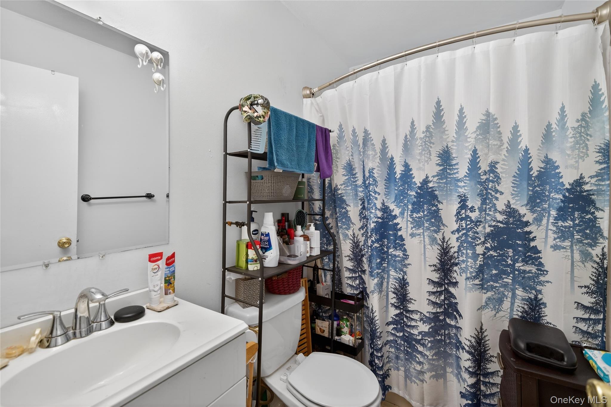 282 West Shore Road Bethel, NY 12783 - Photo 18 of 32 a bathroom with a sink toilet and shower