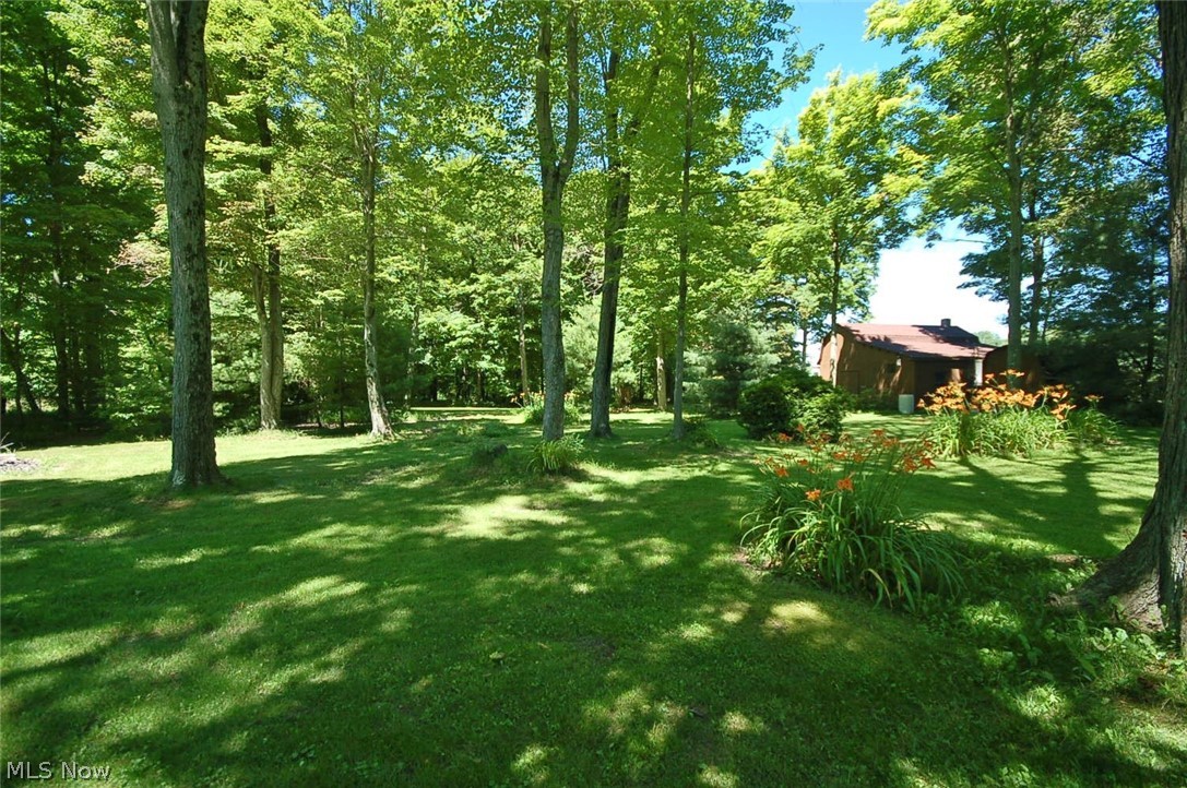 6361 Phillips Rice Road Cortland, OH 44410 - Photo 10 of 31 Gallery Image 10