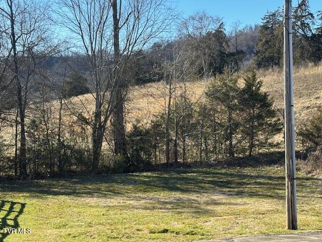 457 Terrace View Drive Bean Station, TN 37708 - Photo 5 of 10 IMG_3018