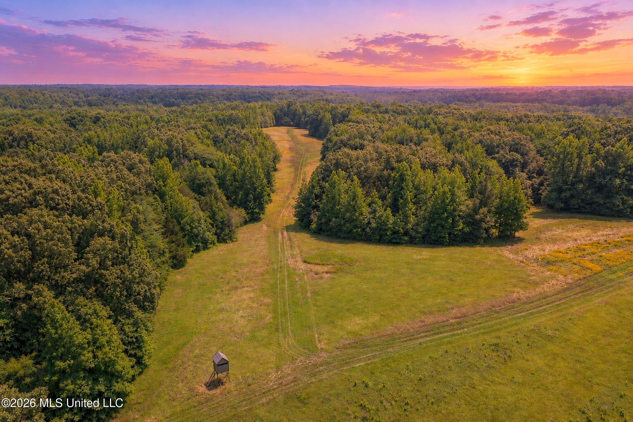 884 Avant Road Crenshaw, MS 38621 - Photo 1 of 154 1dbyicr1.9