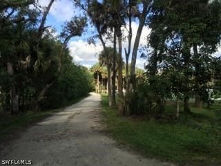 18900 South River Road Alva, FL 33920 - Photo 2 of 15 a view of a forest with trees in the background