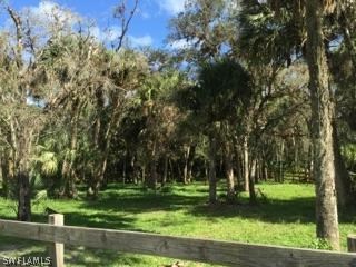 18900 South River Road Alva, FL 33920 - Photo 10 of 15 a view of a park with large trees