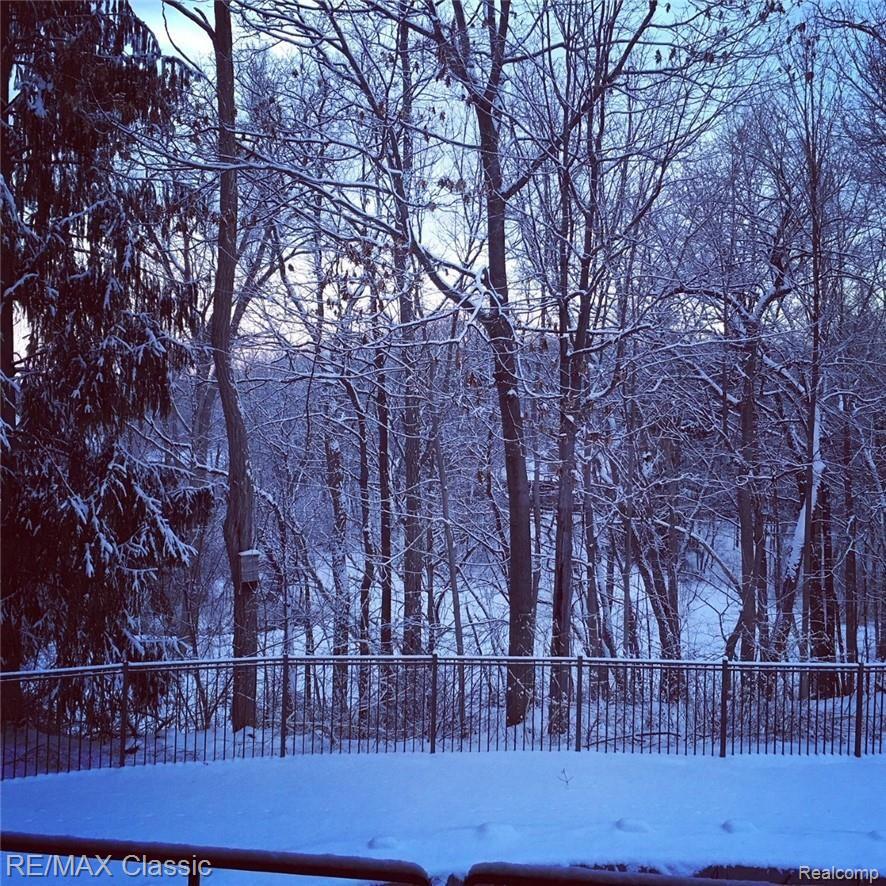 36150 Paddleford Road Farmington, MI 48331 - Photo 30 of 34 Winter view from Great Room