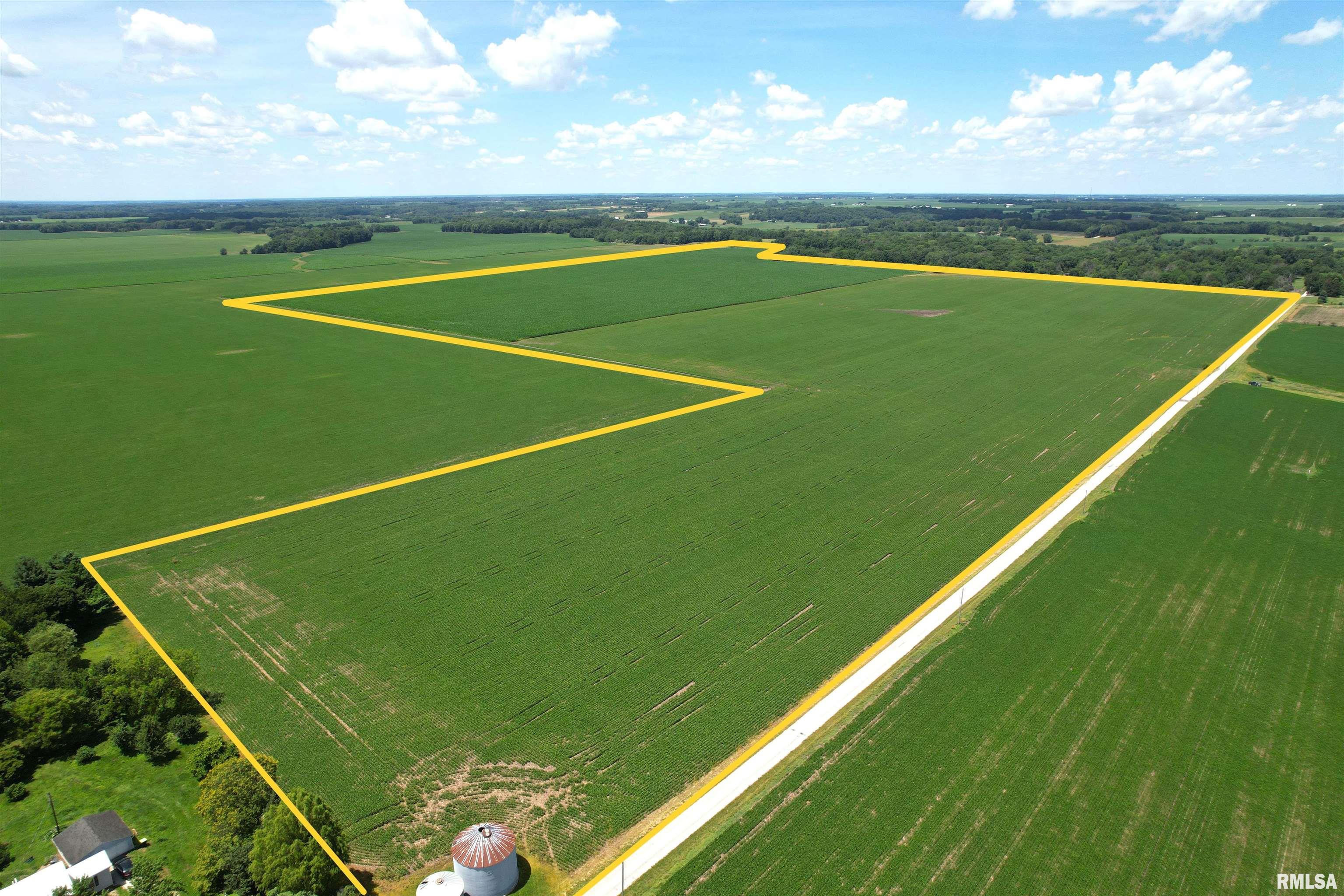 Merritt Blacktop Road Jacksonville, IL 62650 - Photo 2 of 14