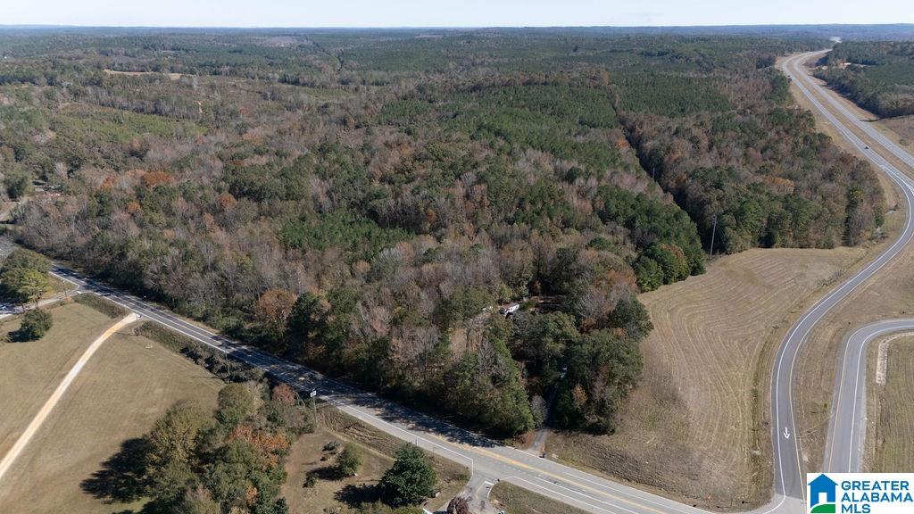 1122 Montevallo Road Centreville, AL 35042 - Photo 68 of 69
