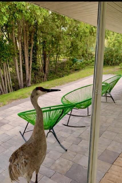 3149 Homasassa Road Sarasota, FL 34239 - Photo 50 of 62 a wooden bench sitting in the middle of a park