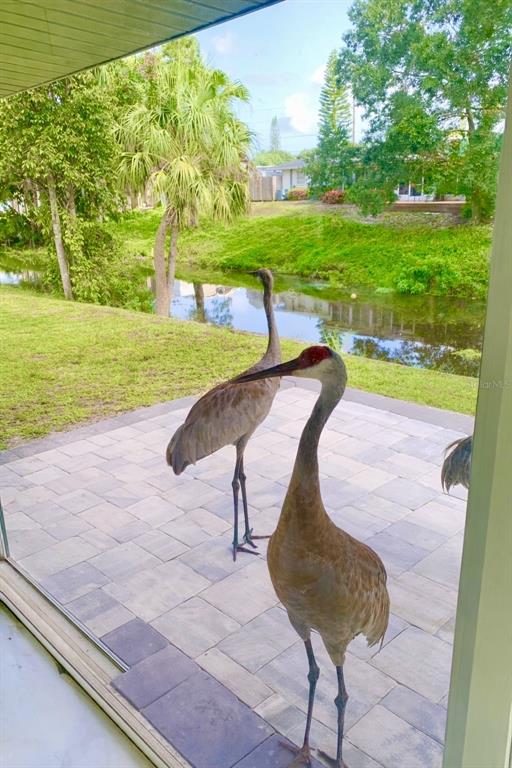 3149 Homasassa Road Sarasota, FL 34239 - Photo 51 of 62 a view of a swimming pool with a yard