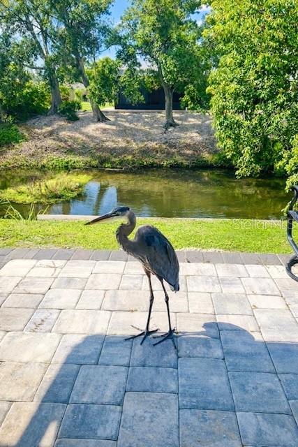 3149 Homasassa Road Sarasota, FL 34239 - Photo 58 of 62 a view of a lake with a yard and potted plants