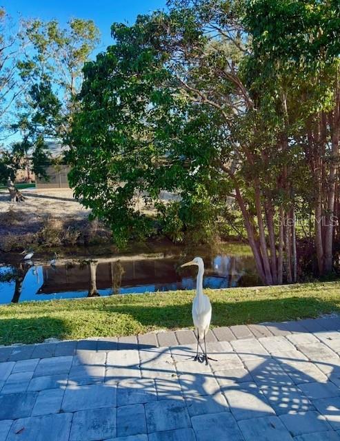 3149 Homasassa Road Sarasota, FL 34239 - Photo 59 of 62 a view of a park with large trees