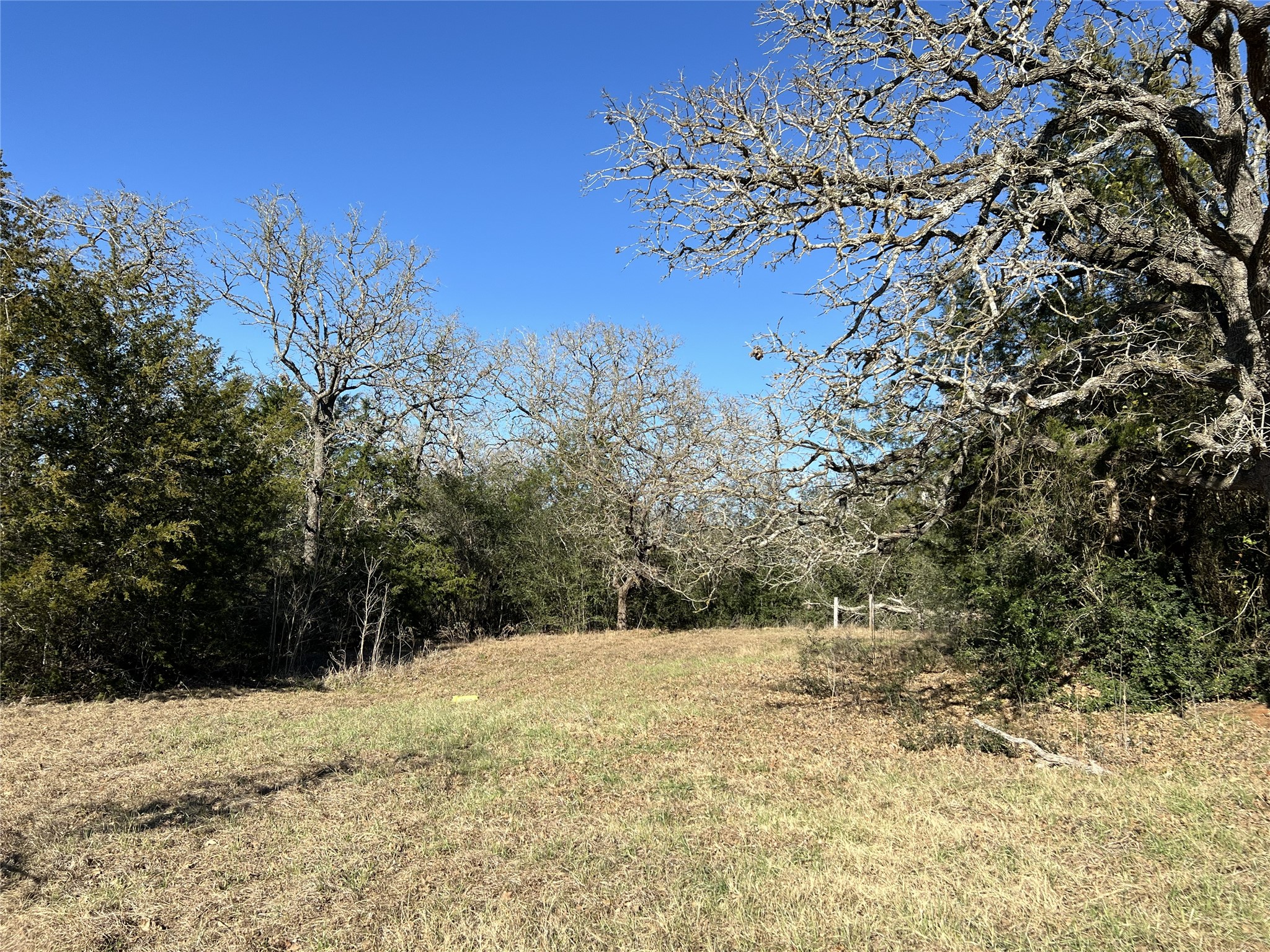 Tbd Rosanky Cattle Company Road Smithville, TX 78957 - Photo 33 of 40 a view of a yard with a tree
