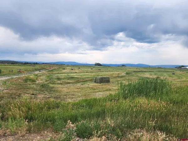 a view of a field with an ocean