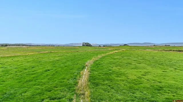 a view of a field with an ocean