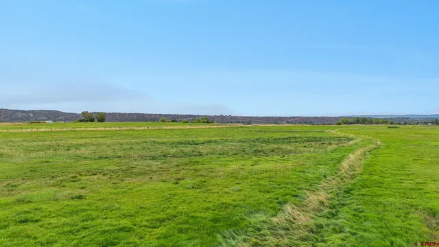 a view of an ocean from a yard