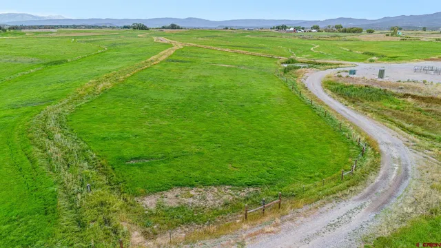 a view of a garden with a lake