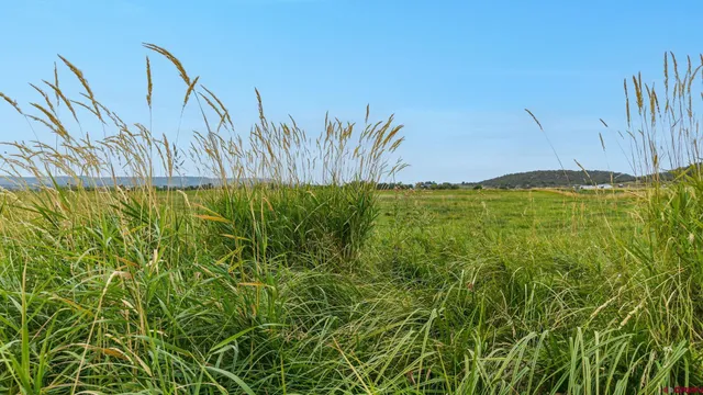 a view of a lake and green space
