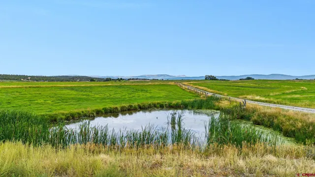 a view of a lake with houses in the back