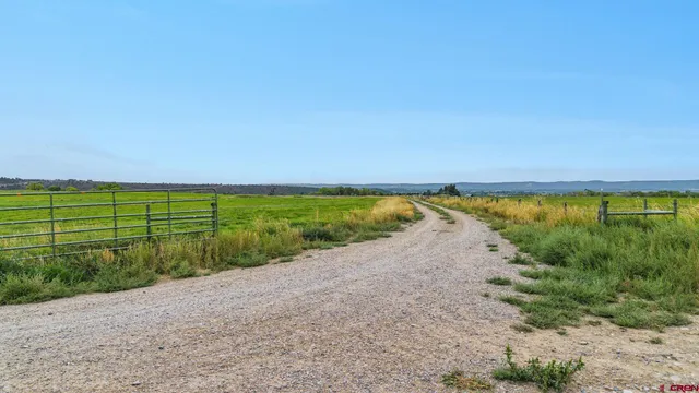 a view of a field with an ocean beach