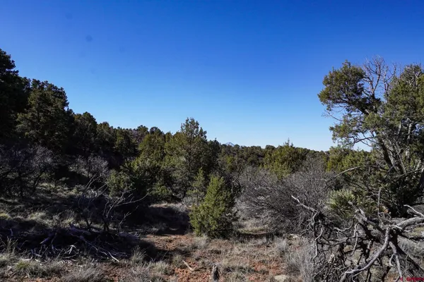 $195,000 | 18560 Road 26, Dolores, CO 81323