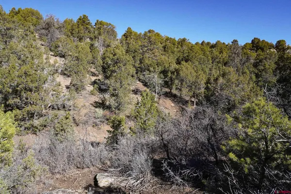 $195,000 | 18560 Road 26, Dolores, CO 81323