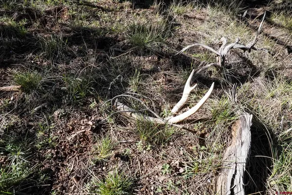 $195,000 | 18560 Road 26, Dolores, CO 81323