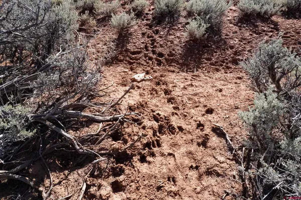 $195,000 | 18560 Road 26, Dolores, CO 81323