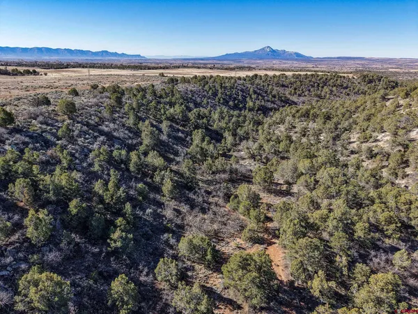 $195,000 | 18560 Road 26, Dolores, CO 81323