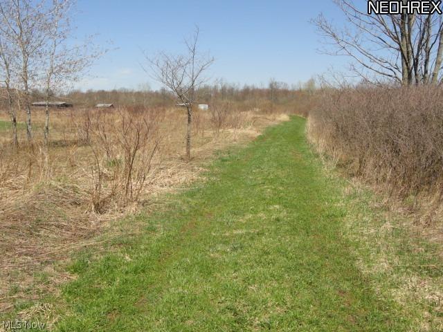 5253 Hall Road Dorset, OH 44032 - Photo 11 of 22 Gallery Image 11