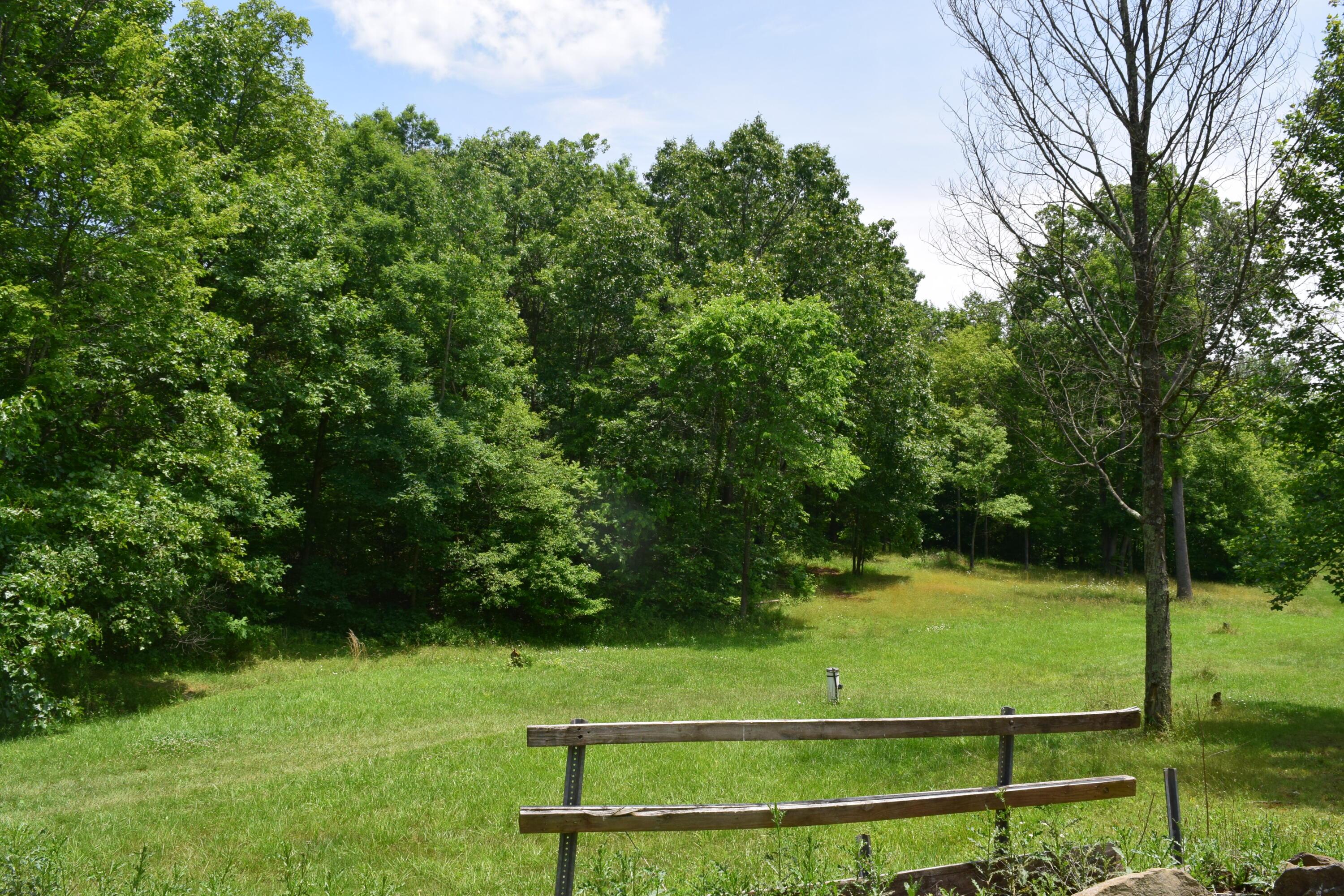 53346 1/2 Fry Road Pleasant City, OH 43772 - Photo 29 of 30 2023-06-21 12.39.53