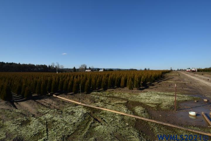 22506 Bents Road Northeast Aurora, OR 97002 - Photo 11 of 33