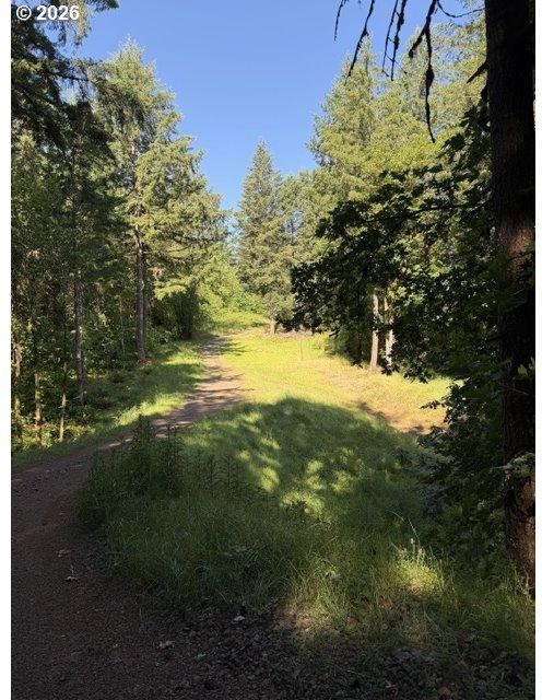 39323 Southwest Gibson Road Gaston, OR 97119 - Photo 9 of 27 Gallery Image 9