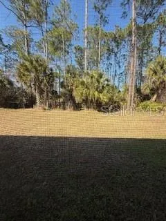 a view of yard with trees