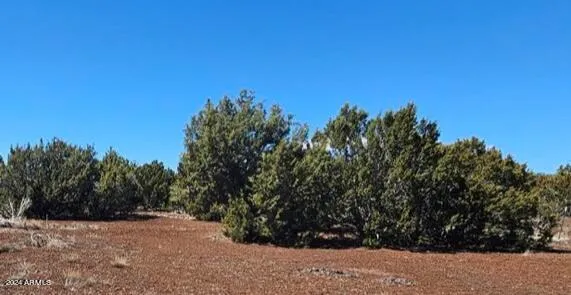 $15,000 | 84 County Road, Unit 85, Vernon, AZ 85940