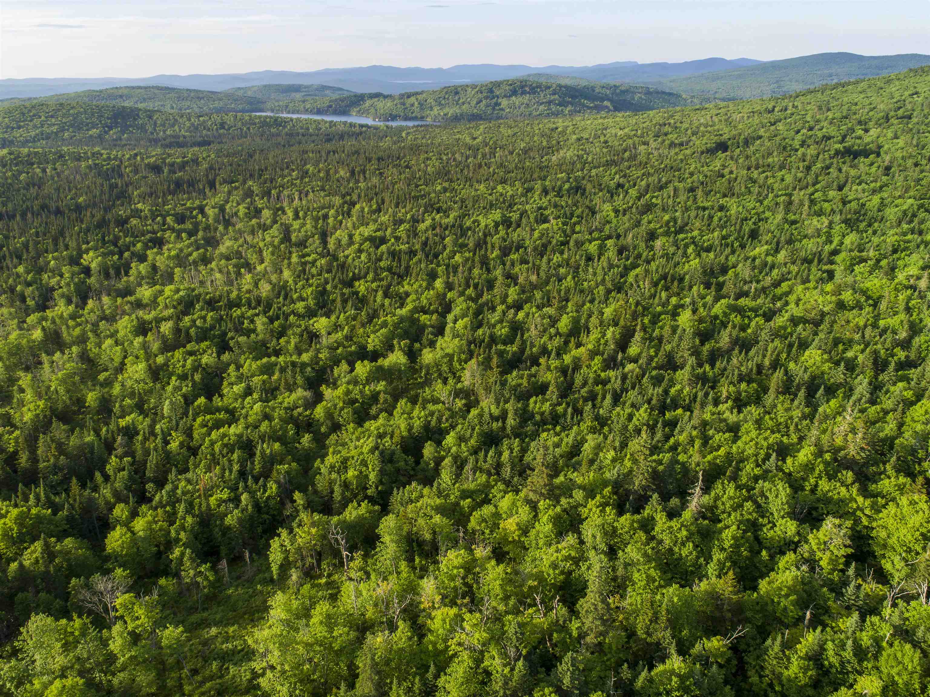 8 Diamond Pond Road, Unit B Stewartstown, NH 03576 - Photo 1 of 4